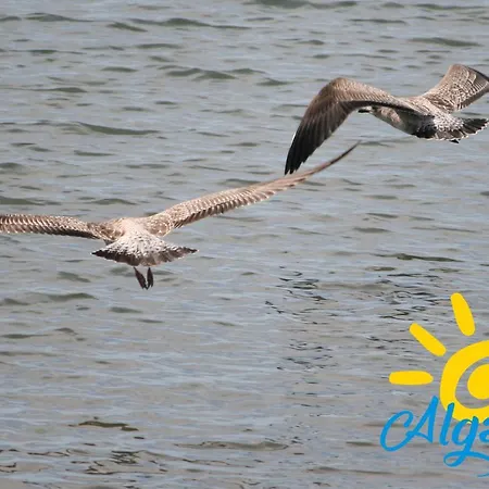 Appartement Gardens By Algartur Cabanas De Tavira